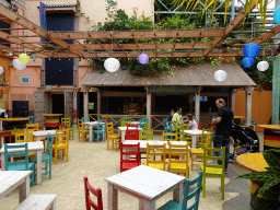 Interior of the Caribbean Café at the Oceanium at the Diergaarde Blijdorp zoo