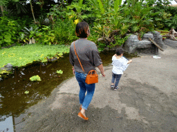 Miaomiao and Max with a leaflet on butterfly species at the Amazonica building at the South America area at the Diergaarde Blijdorp zoo