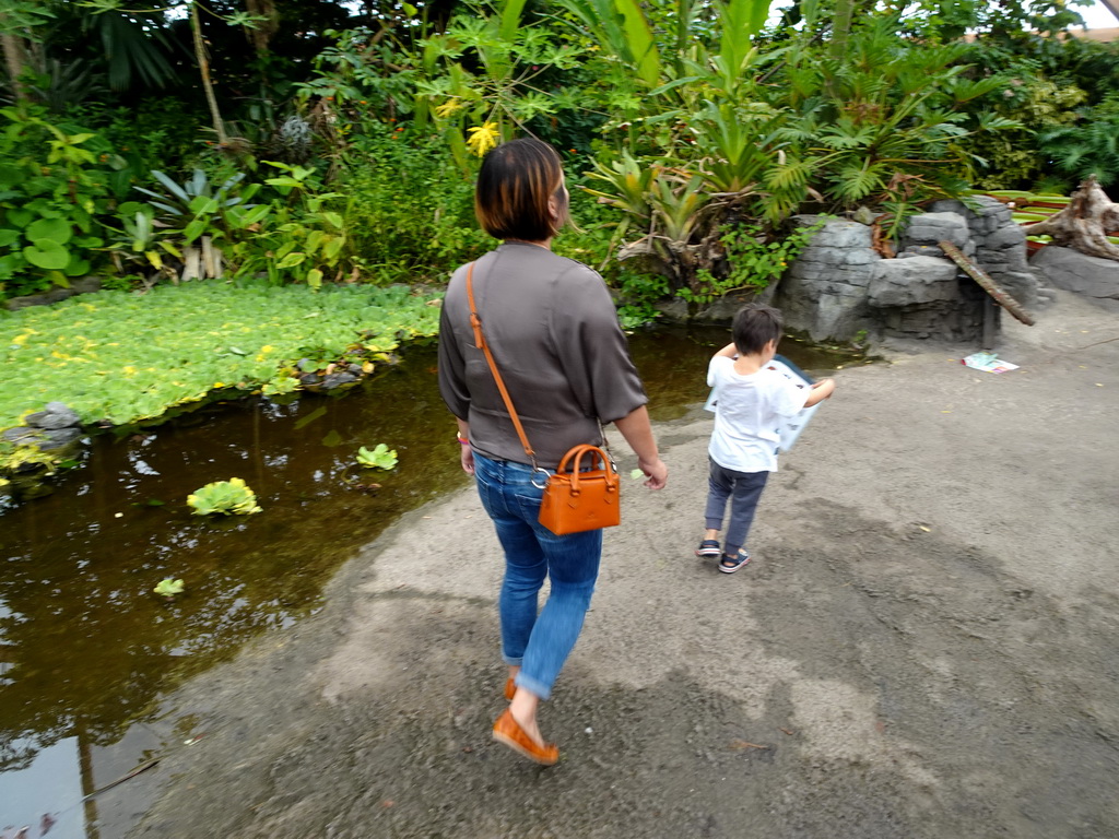 Miaomiao and Max with a leaflet on butterfly species at the Amazonica building at the South America area at the Diergaarde Blijdorp zoo