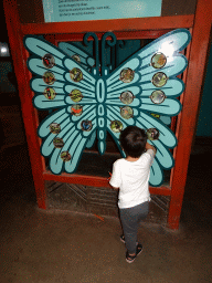Max doing a butterfly puzzle at the Amazonica building at the South America area at the Diergaarde Blijdorp zoo