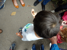 Max with a butterfly on his hand at the Amazonica building at the South America area at the Diergaarde Blijdorp zoo