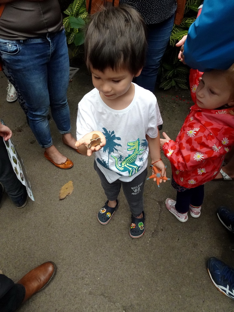 Max with a butterfly on his hand at the Amazonica building at the South America area at the Diergaarde Blijdorp zoo