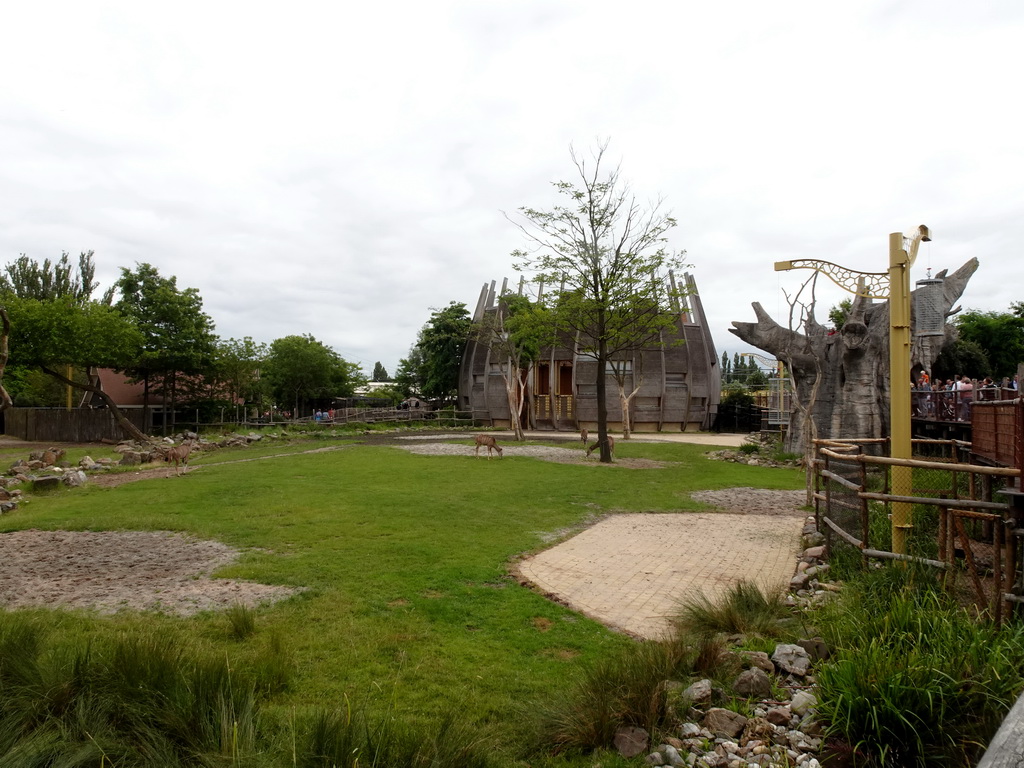 The Tree of Life and the Giraffe enclosure at the Africa area at the Diergaarde Blijdorp zoo