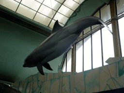 Dolphin statue at the Biotopia playground in the Rivièrahal building at the Africa area at the Diergaarde Blijdorp zoo