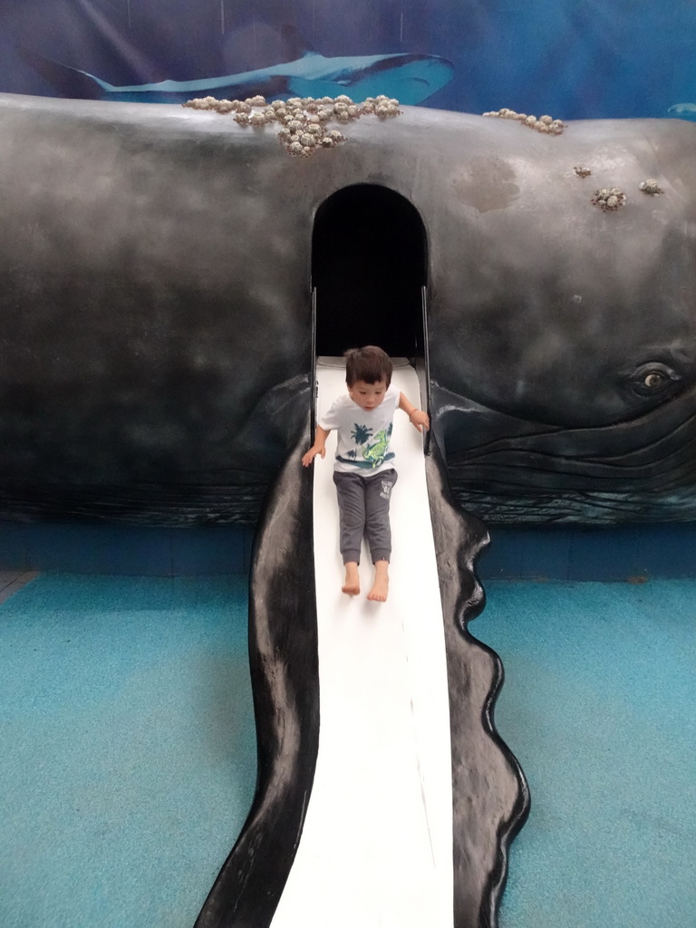 Max on the slide in a Whale statue at the Biotopia playground in the Rivièrahal building at the Africa area at the Diergaarde Blijdorp zoo