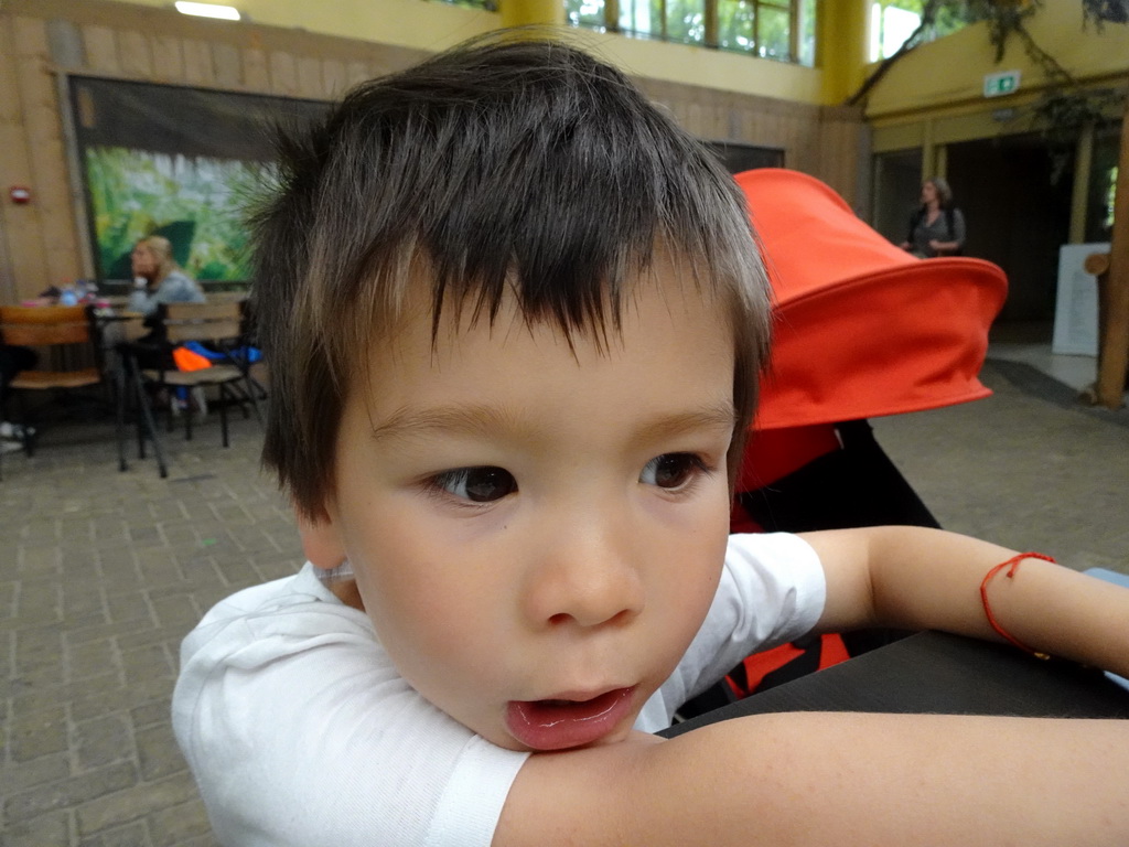 Max at the Biotopia playground in the Rivièrahal building at the Africa area at the Diergaarde Blijdorp zoo