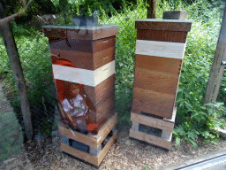 Beehives at the Europe area at the Diergaarde Blijdorp zoo