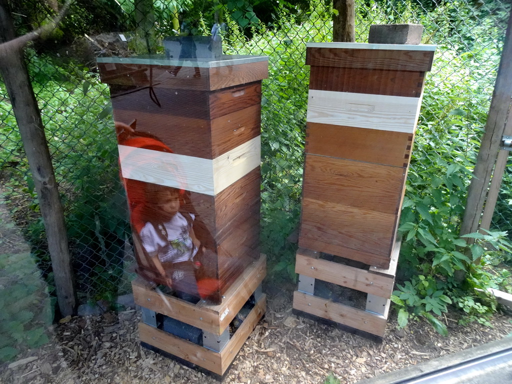 Beehives at the Europe area at the Diergaarde Blijdorp zoo