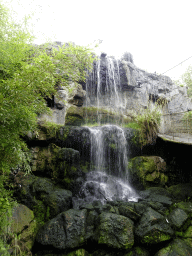 Waterfall at the Burung Asia section at the Asia area at the Diergaarde Blijdorp zoo