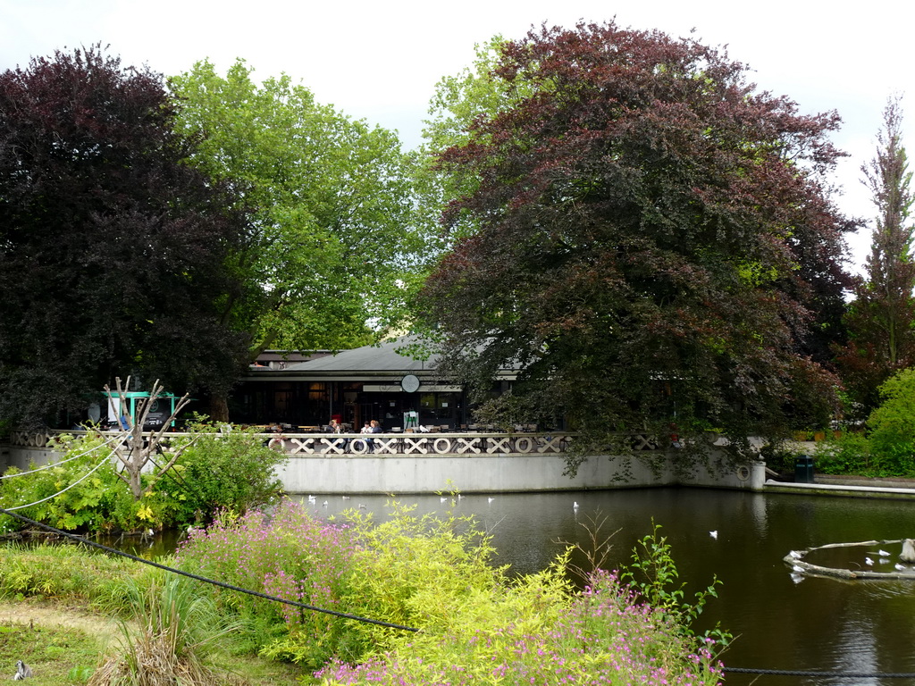 Pond and the front of the Terraszaal restaurant at the Rivièrahal building at the Asia area at the Diergaarde Blijdorp zoo