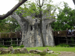 The Tree of Life at the Africa area at the Diergaarde Blijdorp zoo