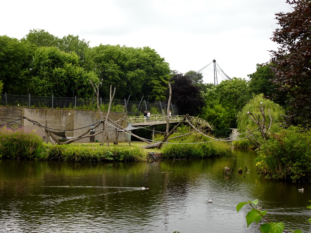 Pond and bridge at the Asia area at the Diergaarde Blijdorp zoo