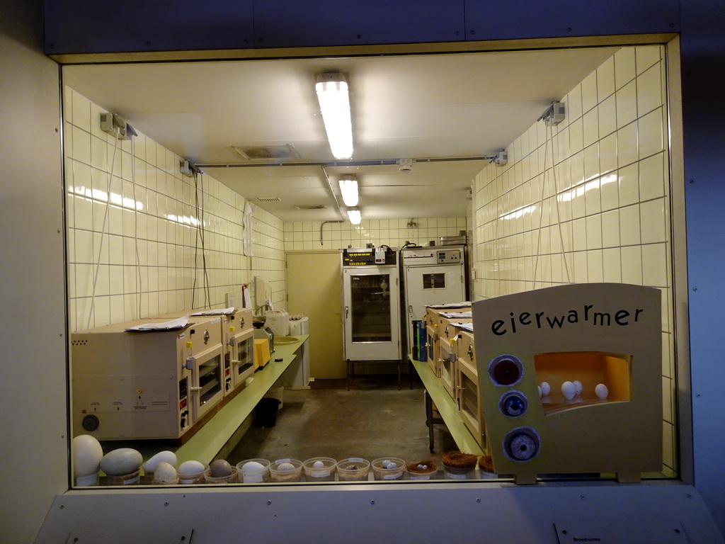 Egg incubators at the Rivièrahal building at the Africa area at the Diergaarde Blijdorp zoo