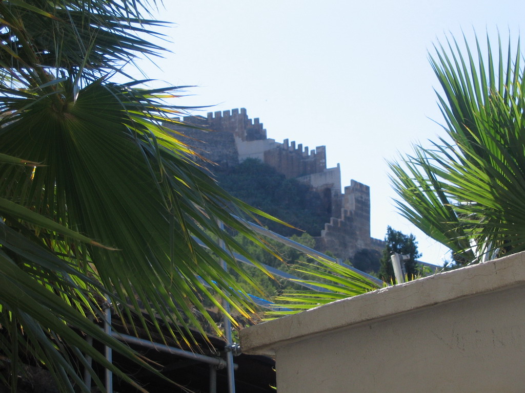 Walls of the Citadel