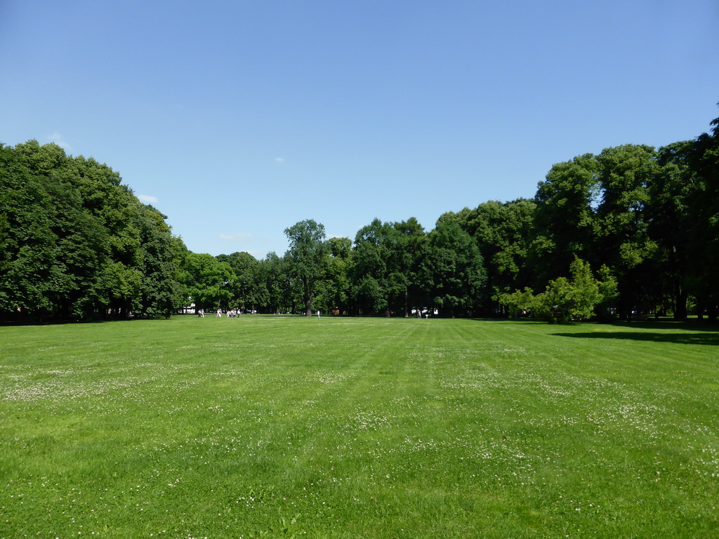 Grassland at the Mikhaylovsky Garden