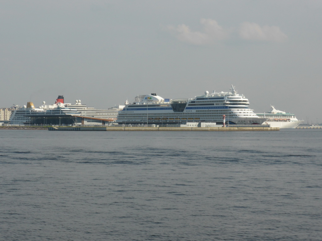 Boats in the harbour, viewed from the hydrofoil from Peterhof