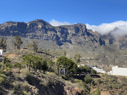 Trees at the east side of town, viewed from the Mirador Las Tirajanas viewing point