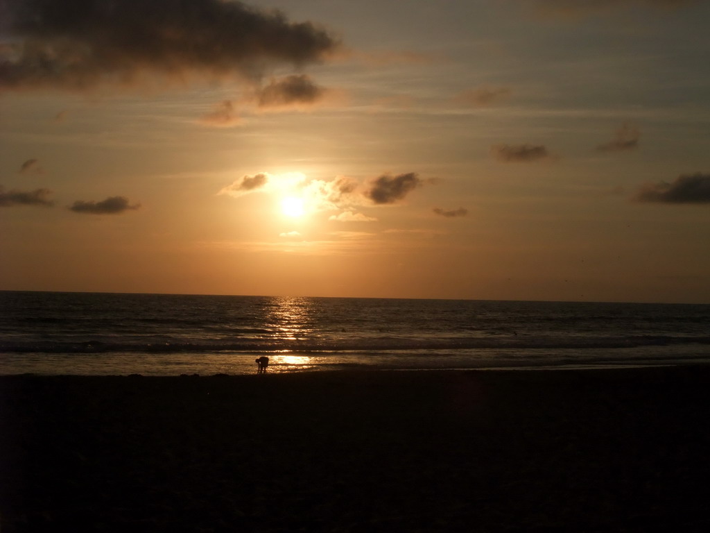 Beach at the Ocean Front Walk, at sunset