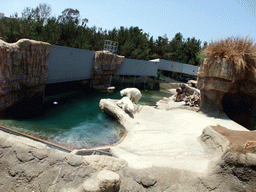 Ice bears at San Diego Zoo