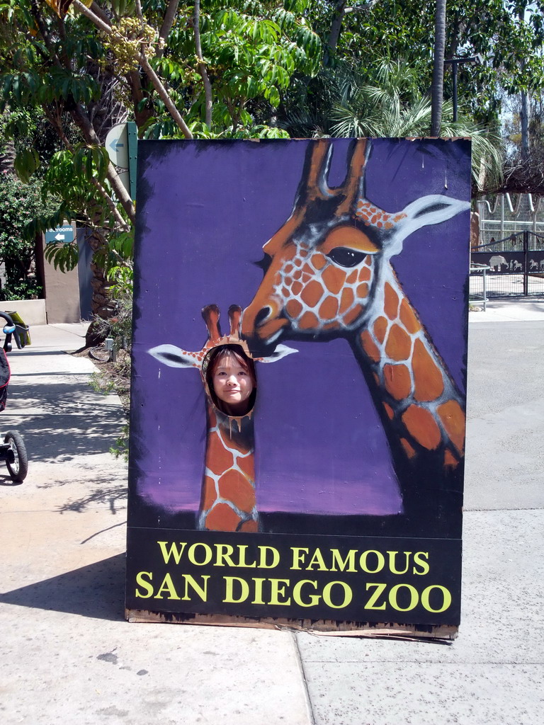 Miaomiao in a Giraffe poster at San Diego Zoo