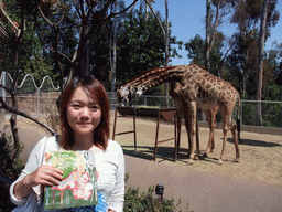 Miaomiao with Giraffes at San Diego Zoo