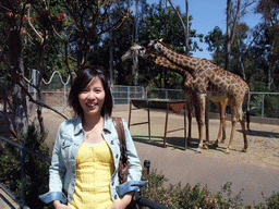 Mengjin with Giraffes at San Diego Zoo