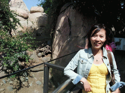 Mengjin with Klipspringer at San Diego Zoo