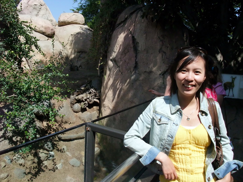 Mengjin with Klipspringer at San Diego Zoo