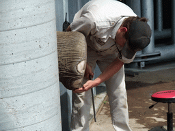 Zoo keeper checking an Elephant`s foot