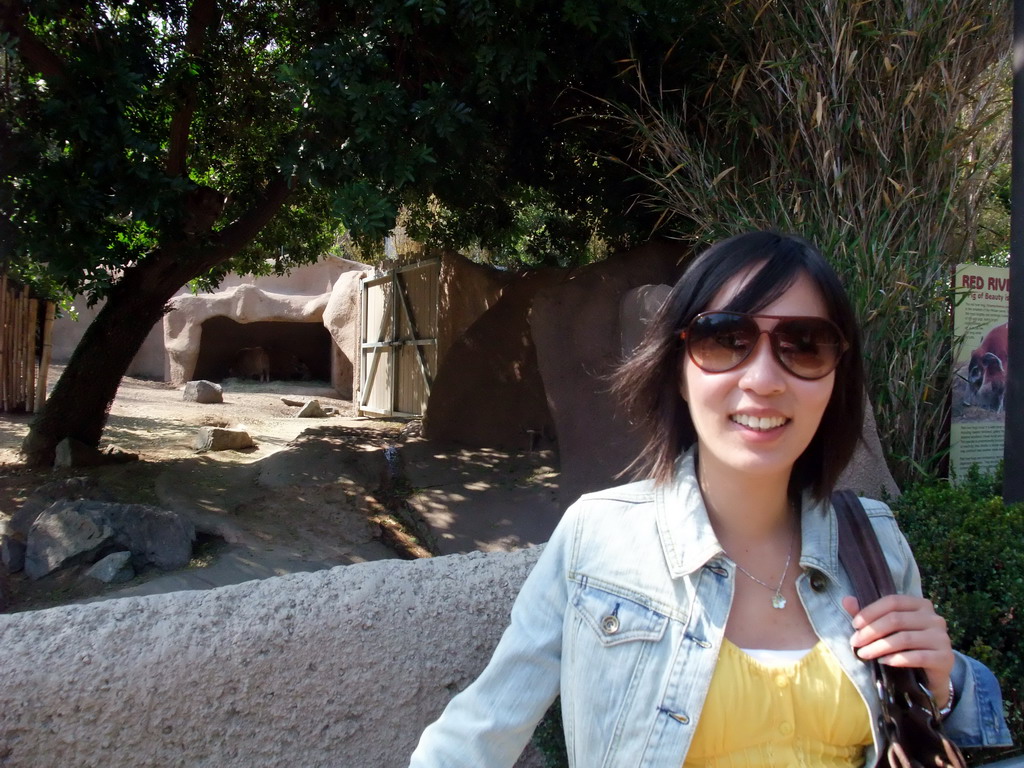 Mengjin with Red River Hog at San Diego Zoo