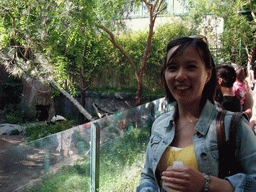 Mengjin with Giant Panda at San Diego Zoo