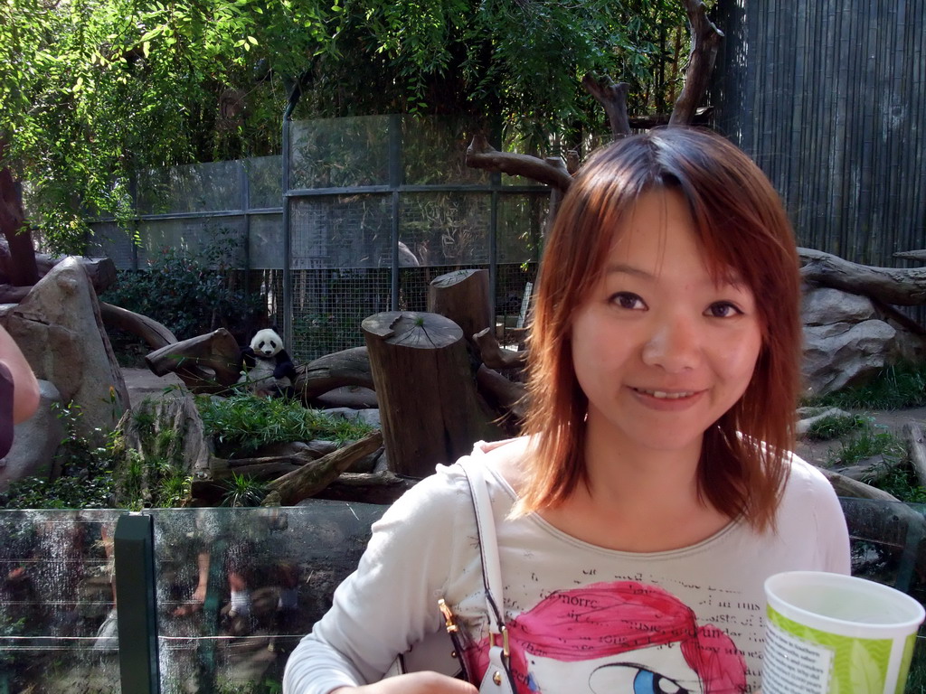 Miaomiao with Giant Panda at San Diego Zoo