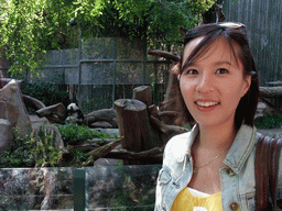 Mengjin with Giant Panda at San Diego Zoo