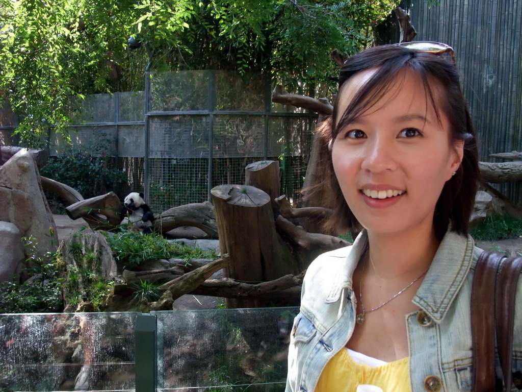 Mengjin with Giant Panda at San Diego Zoo