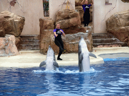 Dolphins and trainers at SeaWorld San Diego