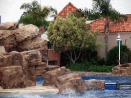 Dolphin in the water at SeaWorld San Diego