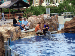 Dolphin and trainer at SeaWorld San Diego