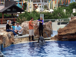 Dolphin and trainer at SeaWorld San Diego