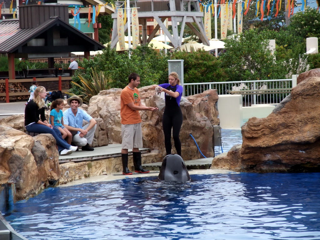 Dolphin and trainer at SeaWorld San Diego