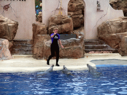Dolphins and trainer at SeaWorld San Diego