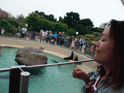 Miaomiao with Sea Lions at SeaWorld San Diego