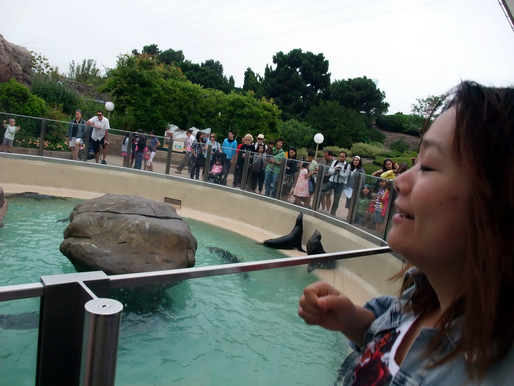 Miaomiao with Sea Lions at SeaWorld San Diego