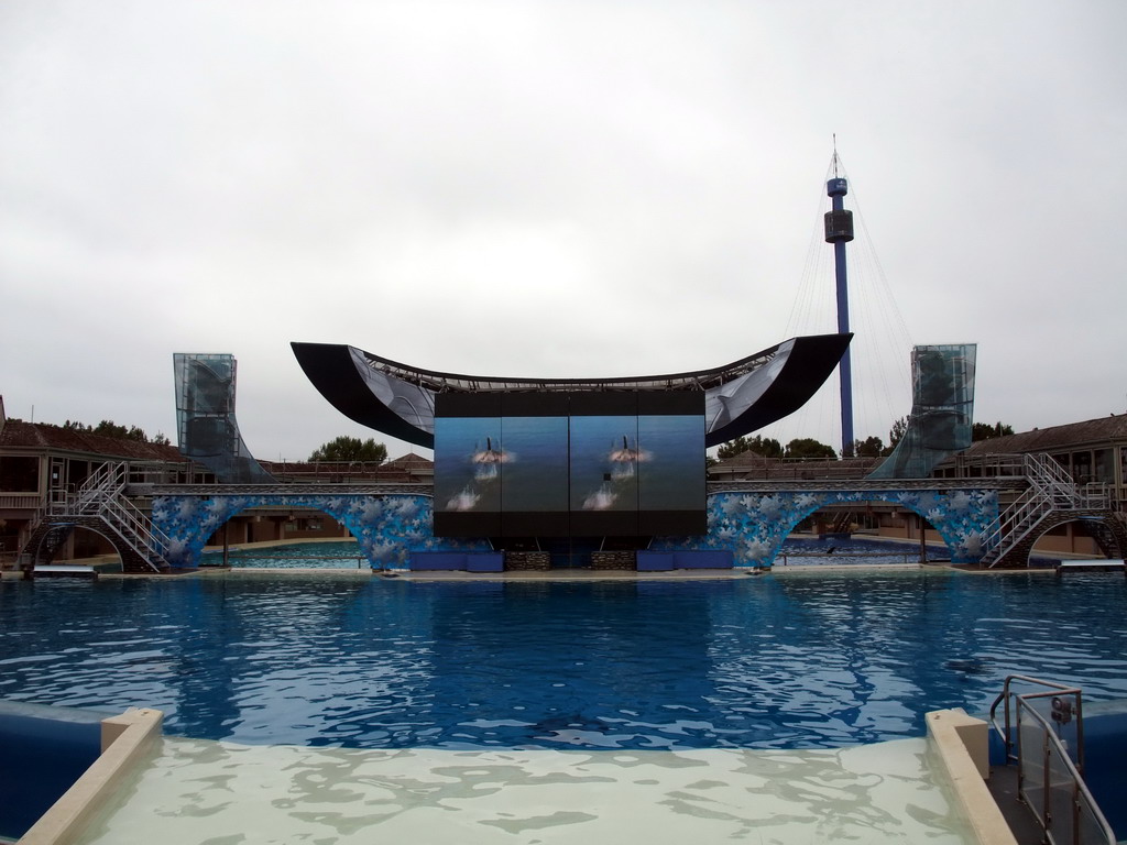 `Shamu Show: Believe` at SeaWorld San Diego