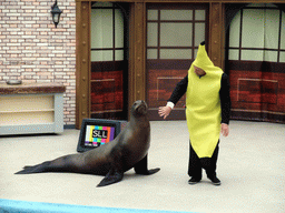 Sea Lion with trainer at SeaWorld San Diego