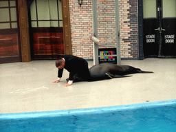 Sea Lion with trainer at SeaWorld San Diego