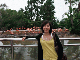 Mengjin with Flamingos at SeaWorld San Diego