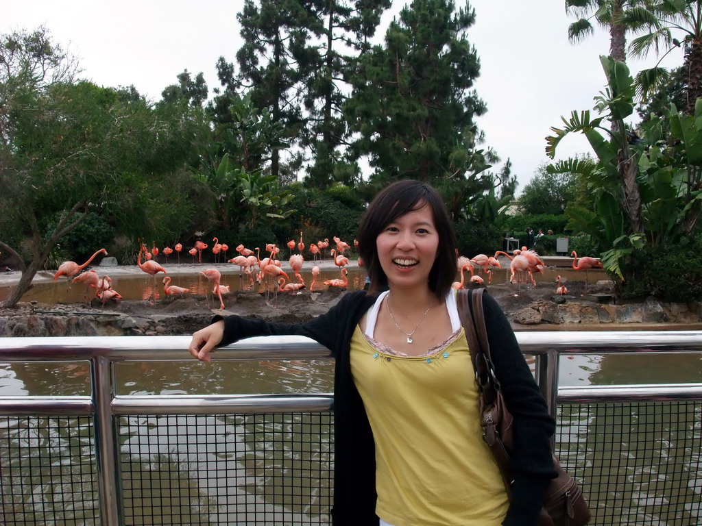Mengjin with Flamingos at SeaWorld San Diego
