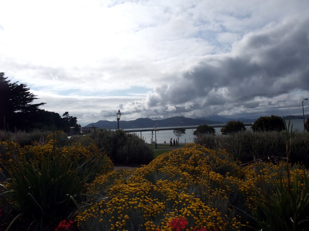 Flowers, beach and pier of the Aquatic Park Historic District