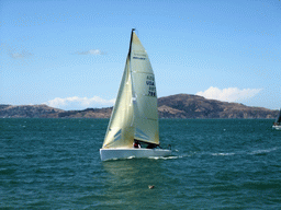 Sail boat at San Francisco Bay