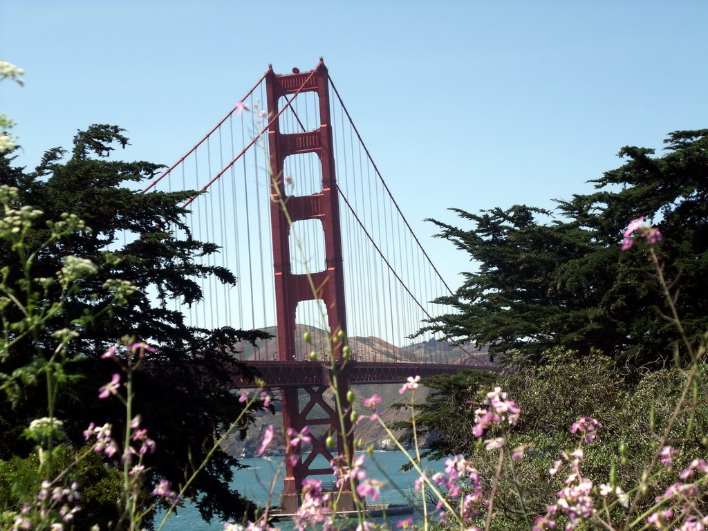 Golden Gate Bridge and plants